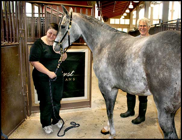 Arabian Horse Show