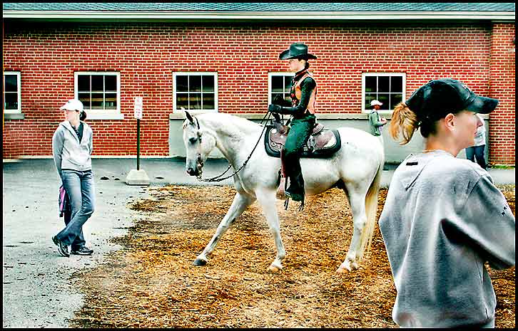 Arabian Horse Show