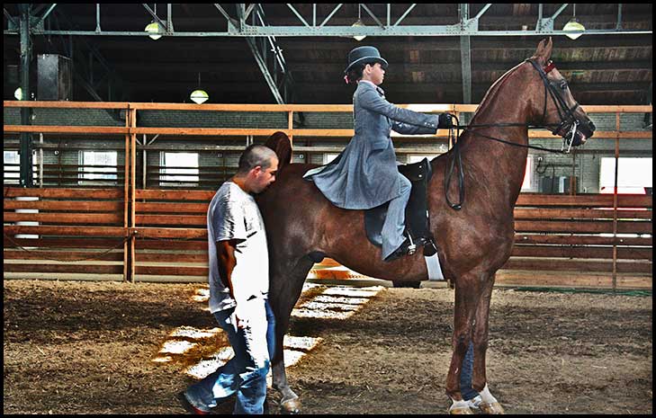 ASAW Saddlebred Horse Show