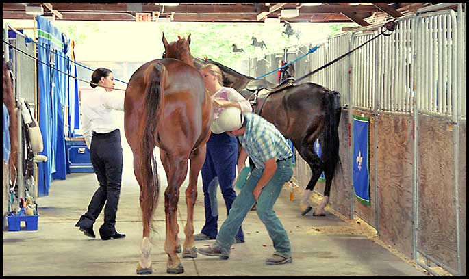 ASAW Saddlebred Horse Show