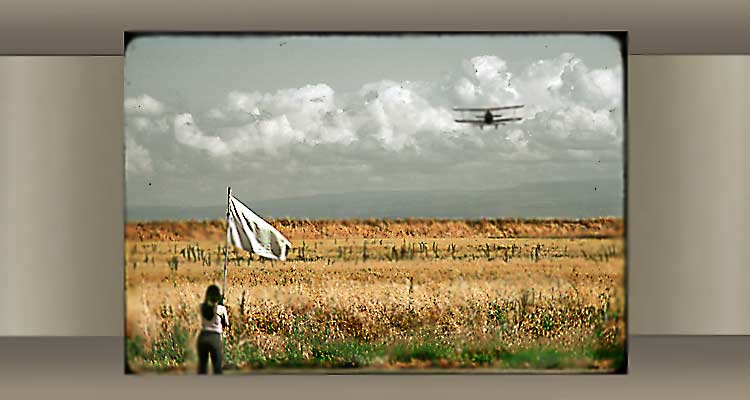 Crop duster and flagman
