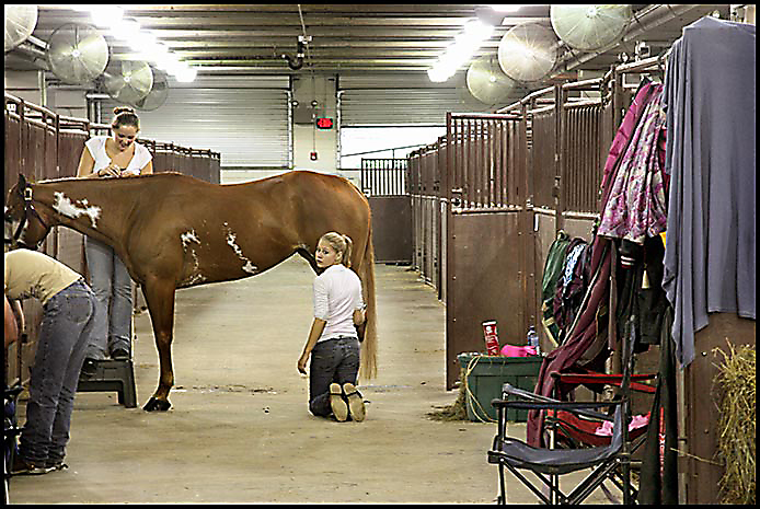 Paint Horse Show