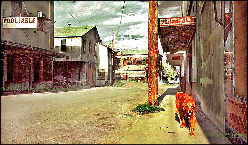 Red Dog Walnut Grove
