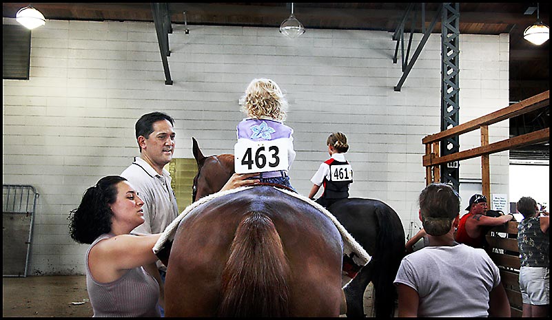 Saddlebred Horse Show