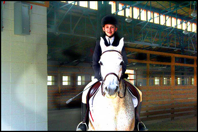 Arabian Horse Show